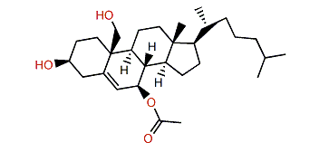 Erectasteroid C